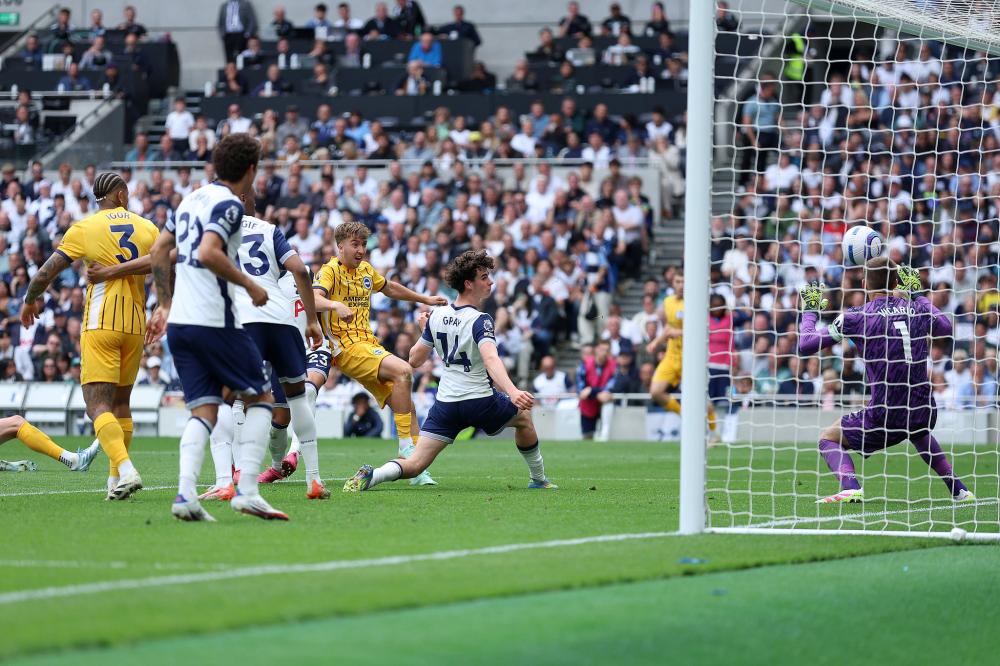 费迪南德：阿里也是一个普通人，并不是所有球员都能收获成功