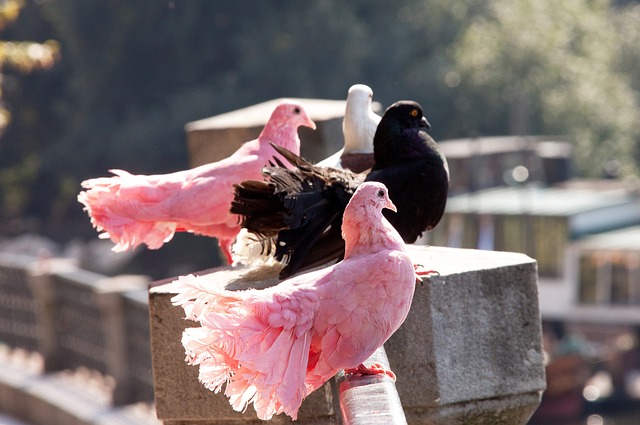 势与挑战 势与挑战
