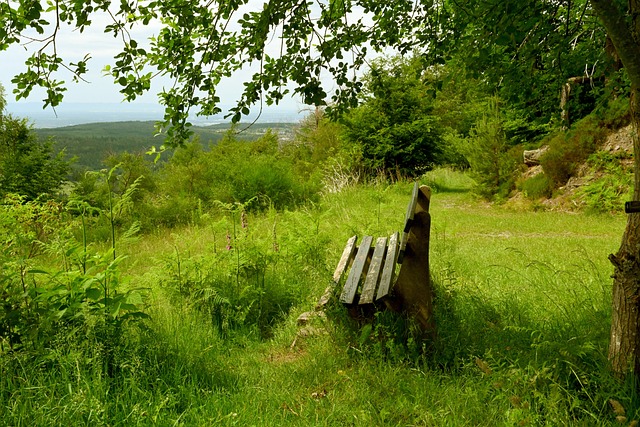 西媒圈内迅 西媒圈内迅