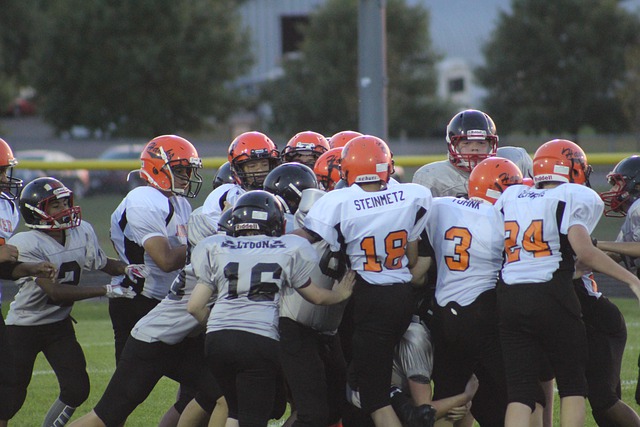 是上港海港 是上港海港