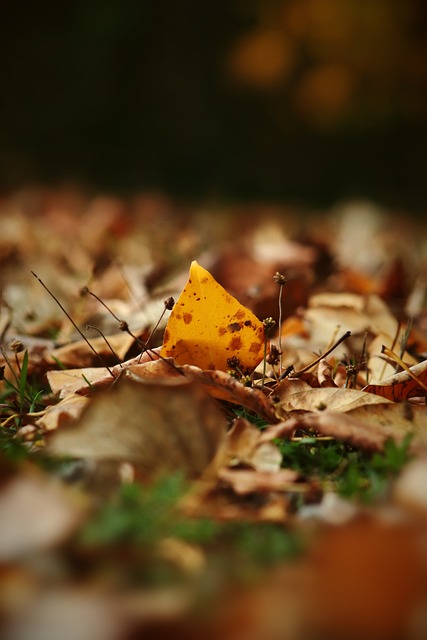 否靜心迎戰 否靜心迎戰
