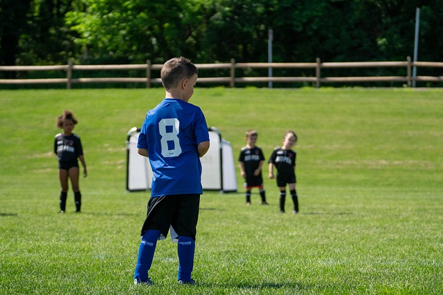 卓越的临场 卓越的临场